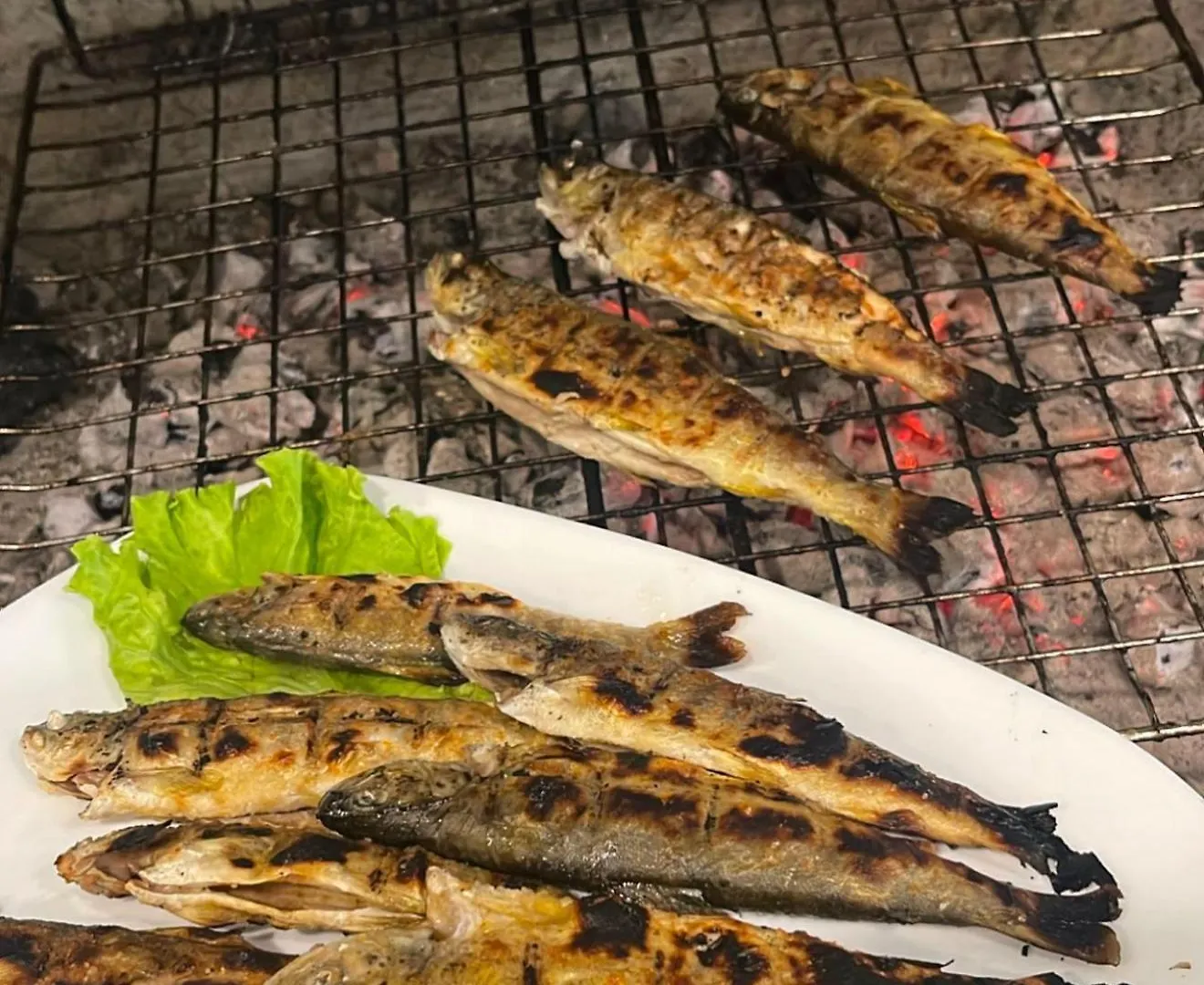 Hotel Te Cemi Restaurant Tamare